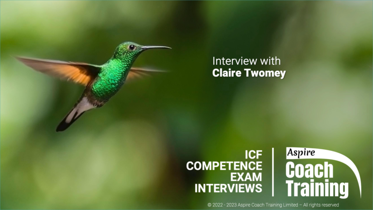 Claire Twomey Interview